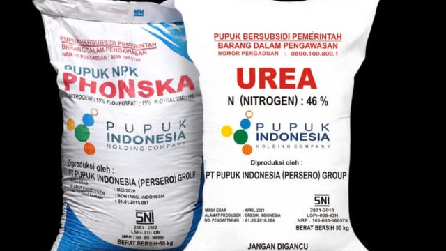Korwil Pertanian Kecamatan Cilograng Diduga Kurang Tegas terhadap Ketua Kelompok Tani yang Jual Pupuk Subsidi di Atas Harga HET